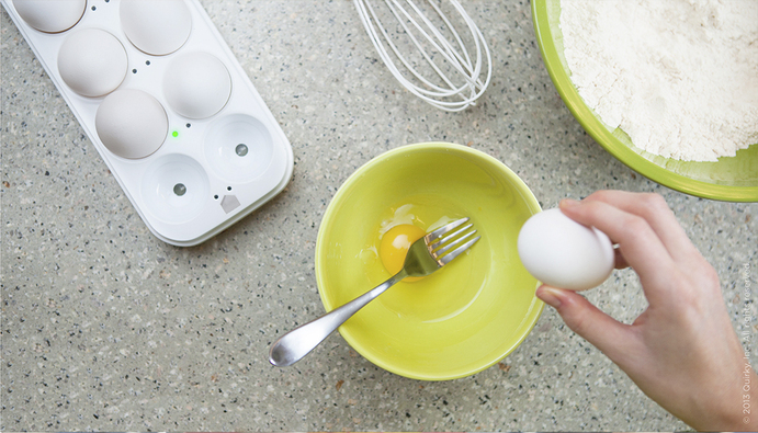 Track your Eggs via the Internet!
